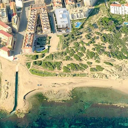 Pinada Torre La Mata