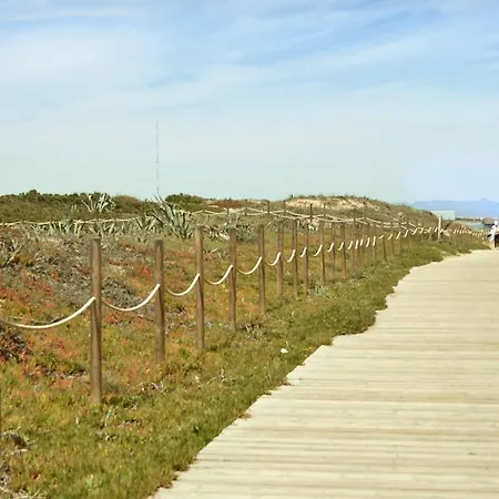 Pinada Torre La Mata